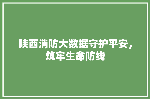 陕西消防大数据守护平安，筑牢生命防线