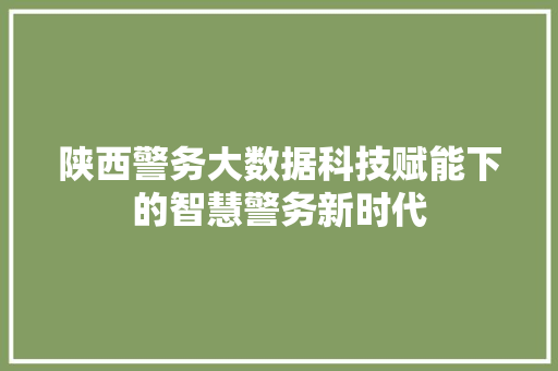 陕西警务大数据科技赋能下的智慧警务新时代