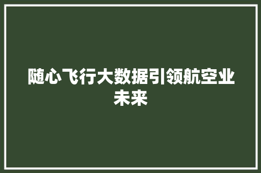 随心飞行大数据引领航空业未来