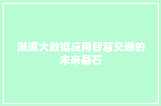 隧道大数据应用智慧交通的未来基石