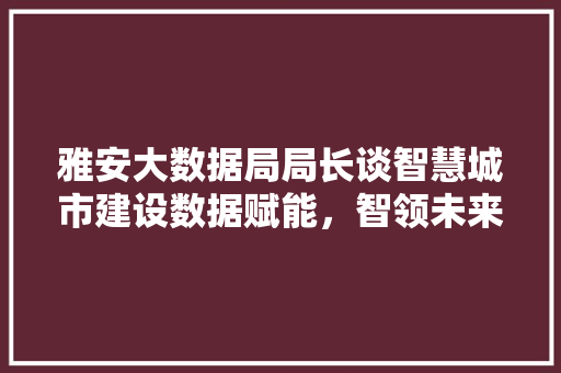 雅安大数据局局长谈智慧城市建设数据赋能，智领未来
