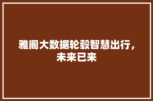 雅阁大数据轮毂智慧出行，未来已来