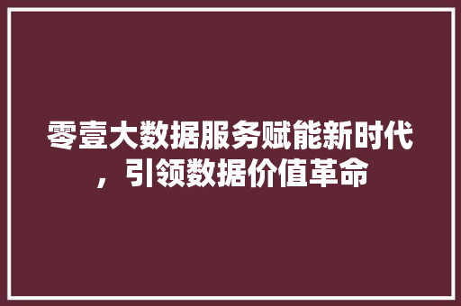 零壹大数据服务赋能新时代，引领数据价值革命