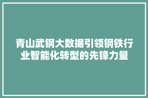 青山武钢大数据引领钢铁行业智能化转型的先锋力量