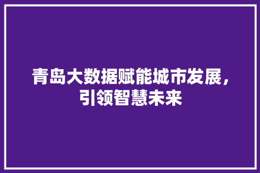 青岛大数据赋能城市发展，引领智慧未来