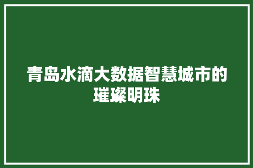 青岛水滴大数据智慧城市的璀璨明珠