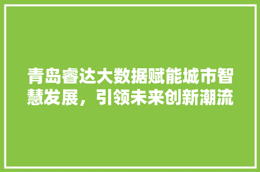 青岛睿达大数据赋能城市智慧发展，引领未来创新潮流