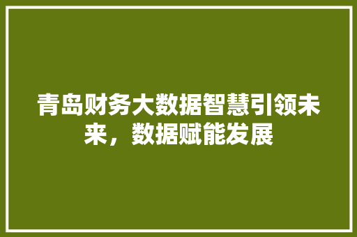 青岛财务大数据智慧引领未来，数据赋能发展
