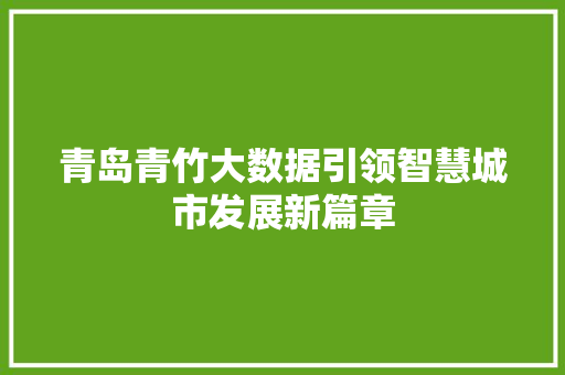 青岛青竹大数据引领智慧城市发展新篇章