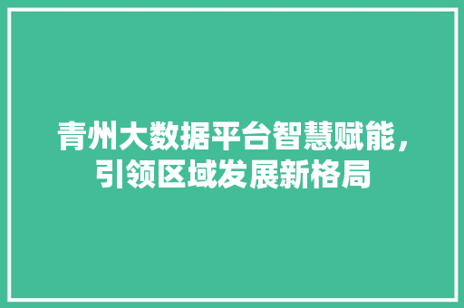 青州大数据平台智慧赋能，引领区域发展新格局