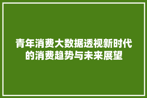 青年消费大数据透视新时代的消费趋势与未来展望