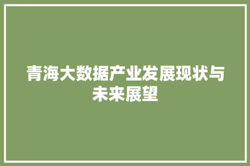 青海大数据产业发展现状与未来展望
