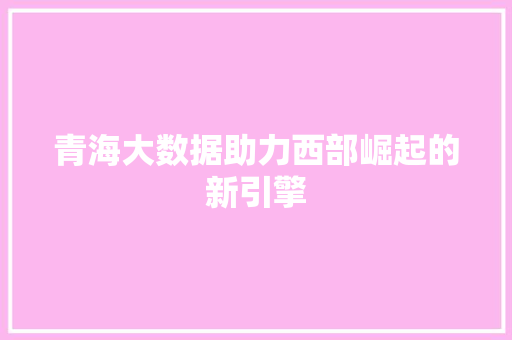 青海大数据助力西部崛起的新引擎