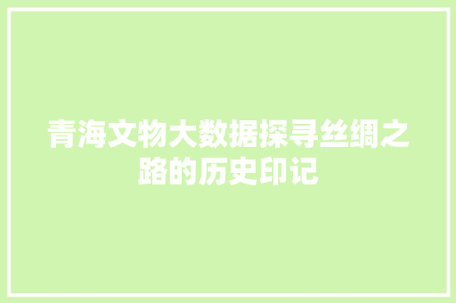 青海文物大数据探寻丝绸之路的历史印记