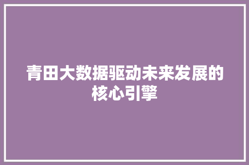 青田大数据驱动未来发展的核心引擎