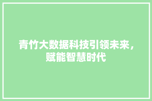 青竹大数据科技引领未来，赋能智慧时代