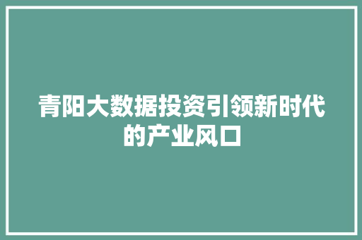 青阳大数据投资引领新时代的产业风口