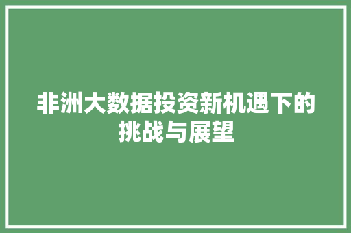 非洲大数据投资新机遇下的挑战与展望