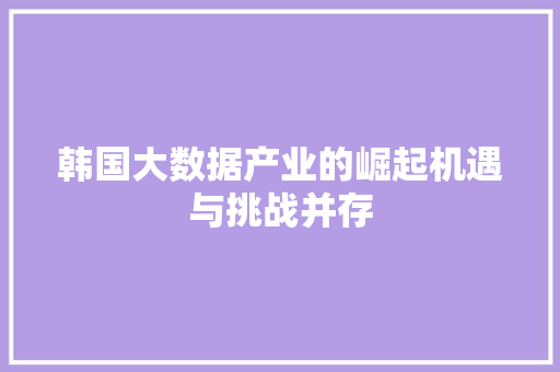 韩国大数据产业的崛起机遇与挑战并存