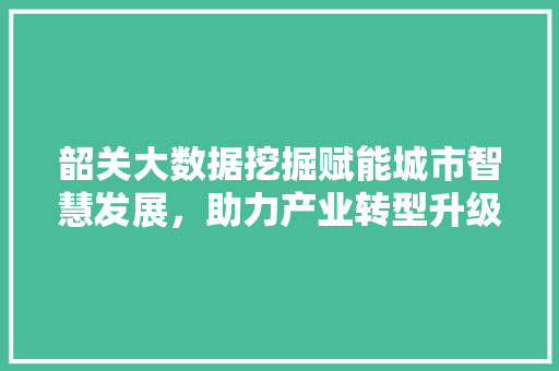 韶关大数据挖掘赋能城市智慧发展，助力产业转型升级