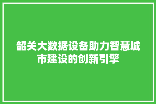 韶关大数据设备助力智慧城市建设的创新引擎