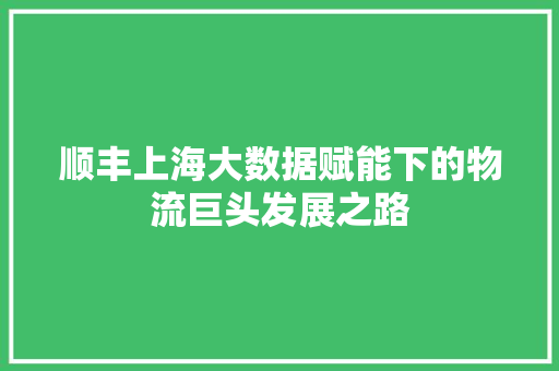 顺丰上海大数据赋能下的物流巨头发展之路
