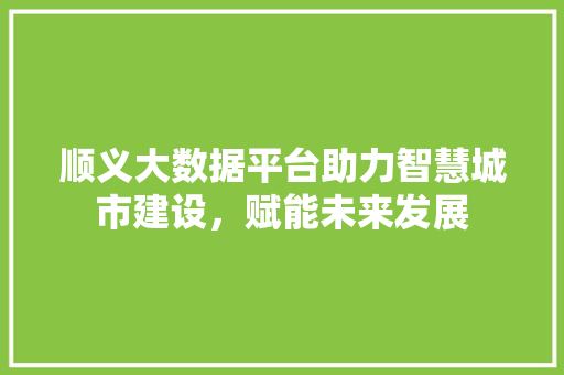 顺义大数据平台助力智慧城市建设，赋能未来发展