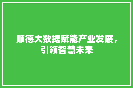 顺德大数据赋能产业发展，引领智慧未来