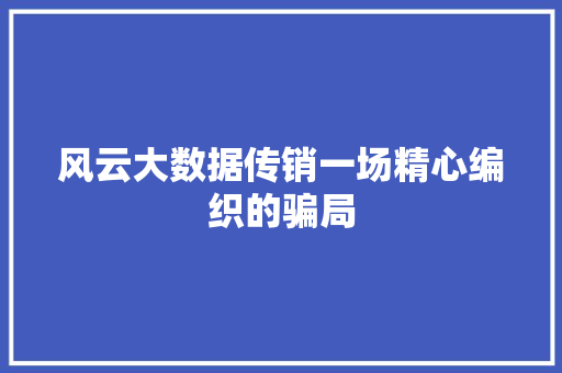 风云大数据传销一场精心编织的骗局