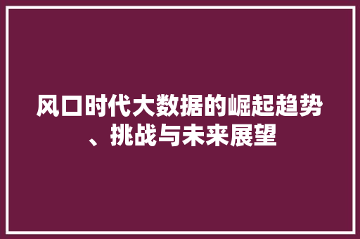 风口时代大数据的崛起趋势、挑战与未来展望 风口时代大数据的崛起趋势、挑战与未来展望