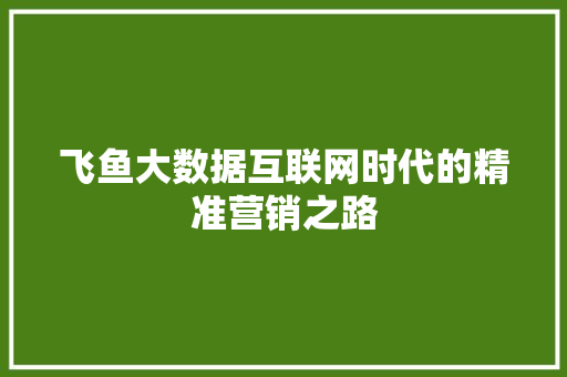 飞鱼大数据互联网时代的精准营销之路