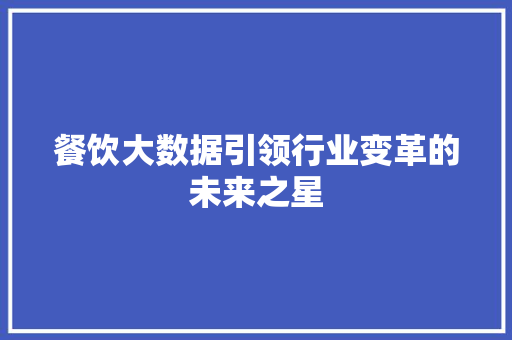 餐饮大数据引领行业变革的未来之星