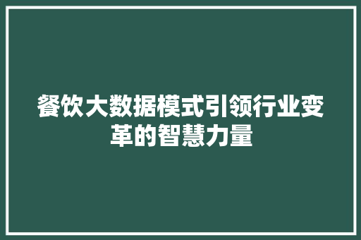 餐饮大数据模式引领行业变革的智慧力量