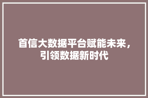 首信大数据平台赋能未来，引领数据新时代