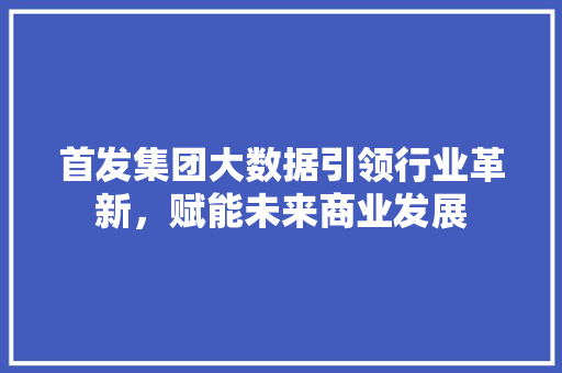 首发集团大数据引领行业革新，赋能未来商业发展
