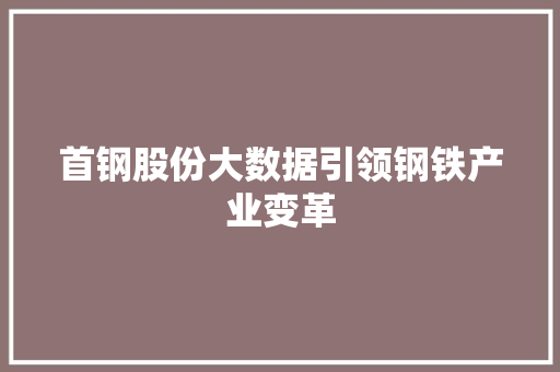 首钢股份大数据引领钢铁产业变革