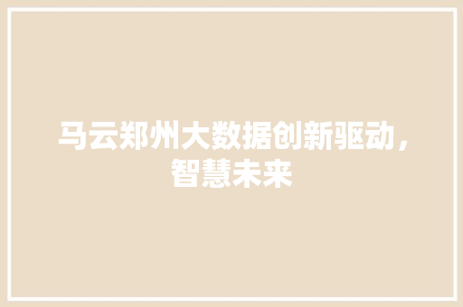 马云郑州大数据创新驱动，智慧未来