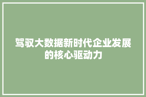 驾驭大数据新时代企业发展的核心驱动力