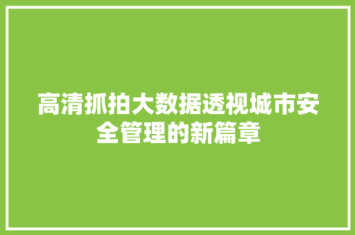 高清抓拍大数据透视城市安全管理的新篇章