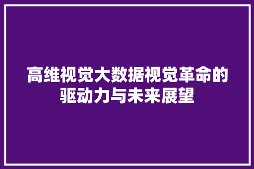 高维视觉大数据视觉革命的驱动力与未来展望
