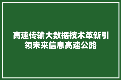 高速传输大数据技术革新引领未来信息高速公路