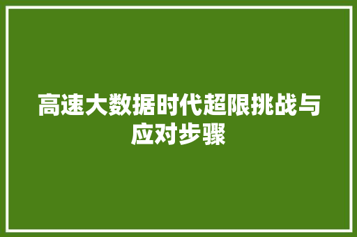高速大数据时代超限挑战与应对步骤 高速大数据时代超限挑战与应对步骤