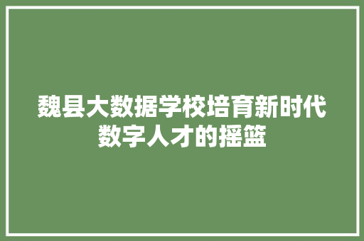 魏县大数据学校培育新时代数字人才的摇篮