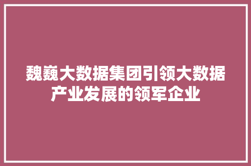 魏巍大数据集团引领大数据产业发展的领军企业