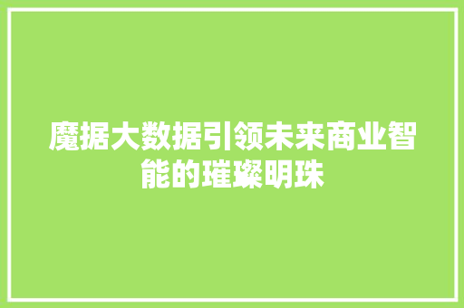 魔据大数据引领未来商业智能的璀璨明珠