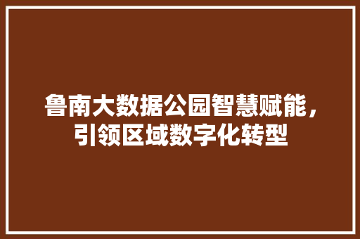 鲁南大数据公园智慧赋能，引领区域数字化转型