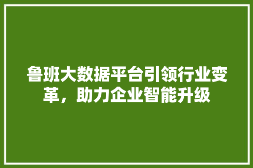 鲁班大数据平台引领行业变革，助力企业智能升级