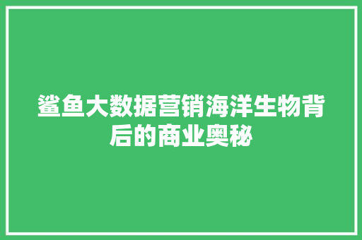 鲨鱼大数据营销海洋生物背后的商业奥秘