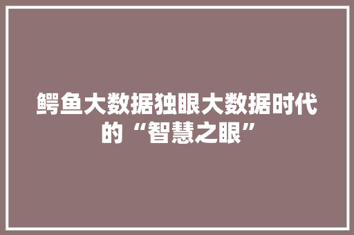 鳄鱼大数据独眼大数据时代的“智慧之眼”