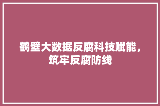 鹤壁大数据反腐科技赋能，筑牢反腐防线 操作系统